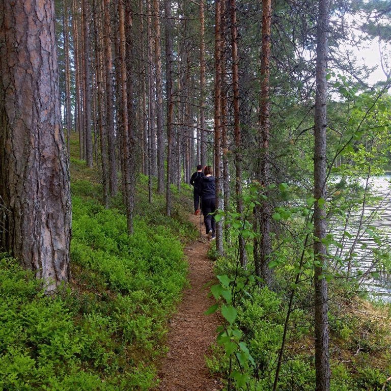 Kymenlaakson messut kuva erämessut-sivulla